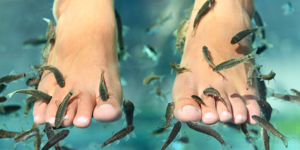 What Is Fish Spa